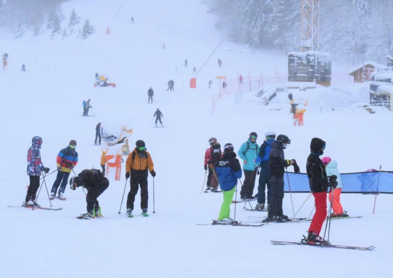 Place Royale Pour 10 A 12 Personnes A 30 Met Des Pistes De Ski Et Vtt Métabief Kültér fotó
