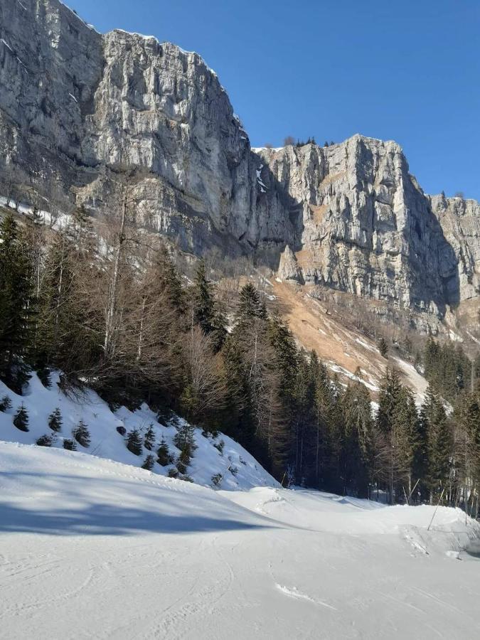 Place Royale Pour 10 A 12 Personnes A 30 Met Des Pistes De Ski Et Vtt Métabief Kültér fotó